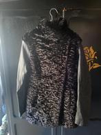 Veste d'hiver femme long manteau, Vêtements | Femmes, Vestes | Hiver, Enlèvement ou Envoi, Comme neuf