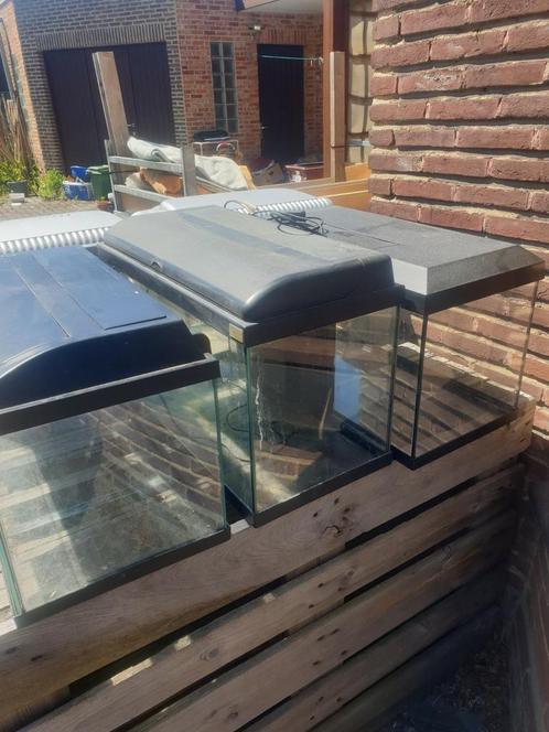 Te koop dringend wegens verhuizing !!, Dieren en Toebehoren, Vissen | Aquaria en Toebehoren, Zo goed als nieuw, Ophalen
