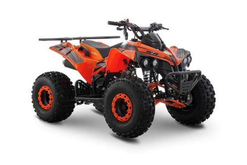 quad 125cc warrior, Kinderen en Baby's, Speelgoed | Buiten | Actiespeelgoed, Ophalen of Verzenden