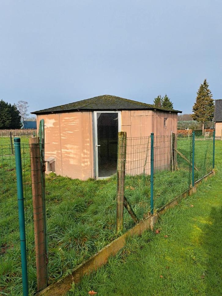 grond, moestuin, 2 hobbyserres  te huur in Onze lieve Vrouw, Dieren en Toebehoren, Pluimvee | Toebehoren, Ophalen