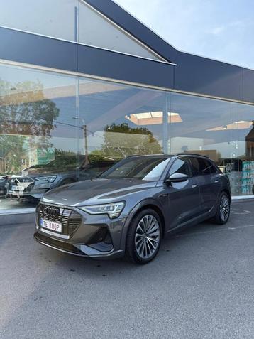 Audi E-tron 55 2021 s-line binnen en buiten pdc camera led beschikbaar voor biedingen