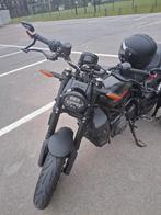 Indian FTR1200 Smog Zwart, Motoren, 2 cilinders, Meer dan 35 kW