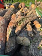 Brandhout te koop, Tuin en Terras, 6 m³ of meer, Ophalen, Overige houtsoorten, Stammen