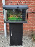 Aquarium Juwel 60 liter met bijhorend kastje, Ophalen, Gebruikt, Leeg aquarium