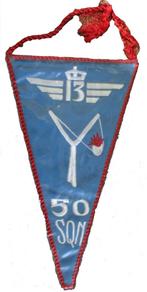 NIKE 13 de Wing - 50 Smaldeel Wimpel, Verzamelen, Luchtmacht, Vlag of Vaandel, Ophalen of Verzenden