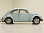 VOLKSWAGEN BECCINELLE 1300, Autos, Achat, Entreprise, Boîte manuelle, Coccinelle