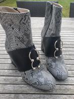 Enkellaarsjes met snake motief Baci maat 37, Vêtements | Femmes, Chaussures, Enlèvement ou Envoi, Boots et Botinnes, Porté, Gris