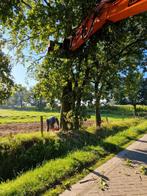 Brandhout gezocht omgeving zoersel, Tuin en Terras, Ophalen of Verzenden