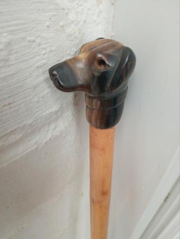Cane.Dog. Claxon  beschikbaar voor biedingen