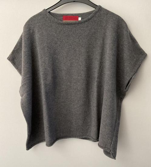 truitje Studio G, small, Kleding | Dames, Truien en Vesten, Zo goed als nieuw, Maat 36 (S), Grijs, Verzenden