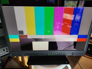 JVC HD-studiomonitor DT-V24L3D beschikbaar voor biedingen