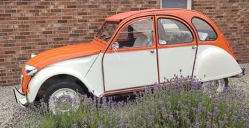 A vendre 2cv diane ami6 ami8 j'
