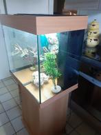 aquarium lido juwel 120 l + meubel, Gebruikt, Ophalen of Verzenden