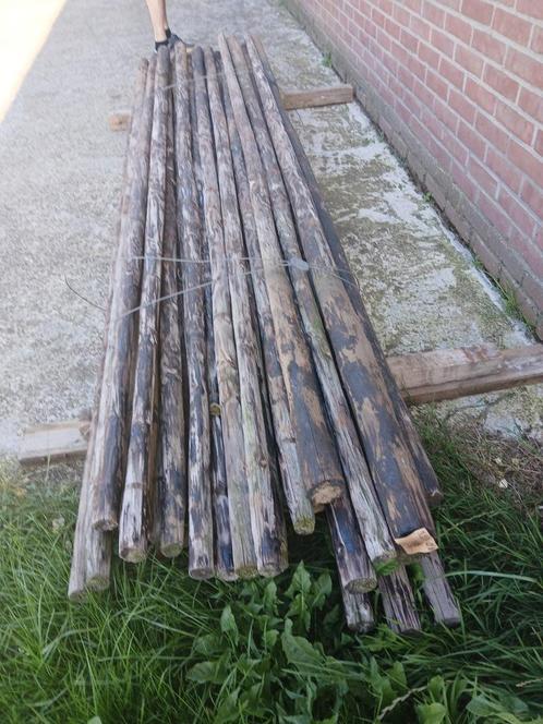 Te koop fruitboompalen van 3,00 meter., Tuin en Terras, Palen, Balken en Planken, Gebruikt, Palen, 250 cm of meer, Ophalen
