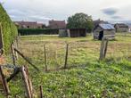 Weide te huur 2000m2, Dieren en Toebehoren, Stalling en Weidegang