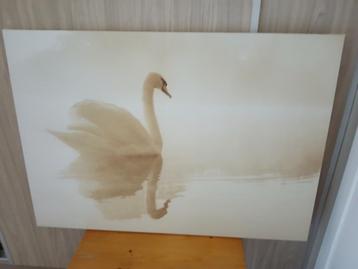 Tabeau -  Cygne sur l'eau beschikbaar voor biedingen