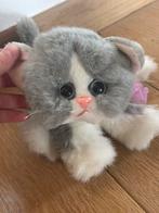 Kitty kitty kittens knuffel, Ophalen