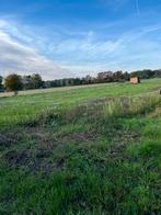 Plek vrij op de weide, Dieren en Toebehoren