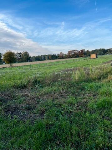 Plek vrij op de weide beschikbaar voor biedingen