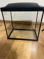 Aquarium, Dieren en Toebehoren, Ophalen, Zo goed als nieuw