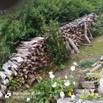 bois a vendre sur 1 m  1 ans, Jardin & Terrasse, Bois de chauffage, Enlèvement ou Envoi, Hêtre