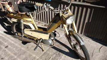 Flandria  beschikbaar voor biedingen