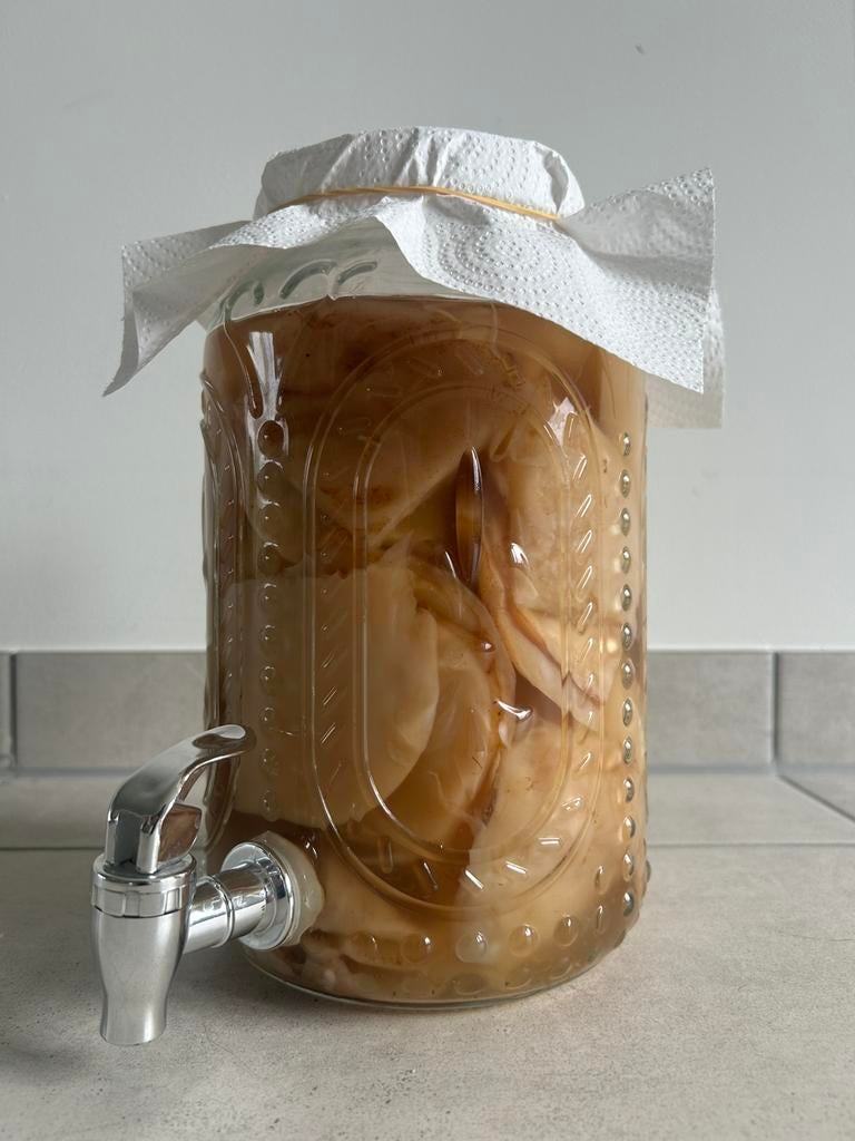 Kombucha Scoby, Ophalen, Zo goed als nieuw