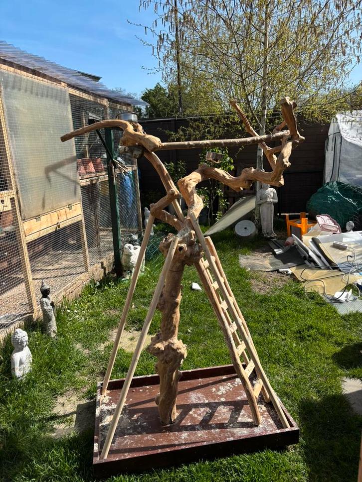 Av cage et jouer perroquet, Animaux & Accessoires, Oiseaux | Perruches & Perroquets, Perroquet