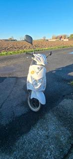 Scooter 49cc, Vélos & Vélomoteurs, Pièces de cyclomoteur | Scooters, Enlèvement, Utilisé, Cylindre, Autres marques