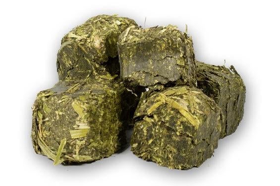 luzerne, Ophalen, Knaagdier of Konijn