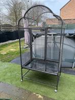 Te Koop  groot papegaaien kooi, Dieren en Toebehoren, Ophalen