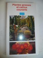 plantes grasses et cactus, Huis en Inrichting, Kamerplanten, Ophalen of Verzenden, Cactus