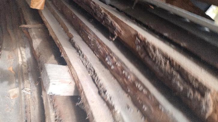 lot Inlandse eik, Bricolage & Construction, Bois & Planches, Comme neuf, Planche, Chêne, 300 cm ou plus, Enlèvement