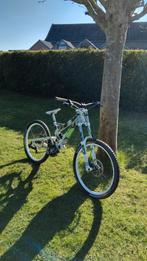 Custom downhill bike, Vélos & Vélomoteurs, Enlèvement, Utilisé, 20 pouces ou plus