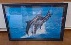 Dolfijnen in kader, Antiek en Kunst, Ophalen