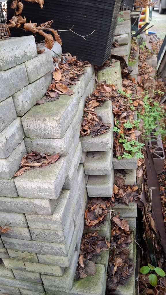 Gratis afhalen in oekene, Enlèvement, Utilisé, Tuiles de terrasse