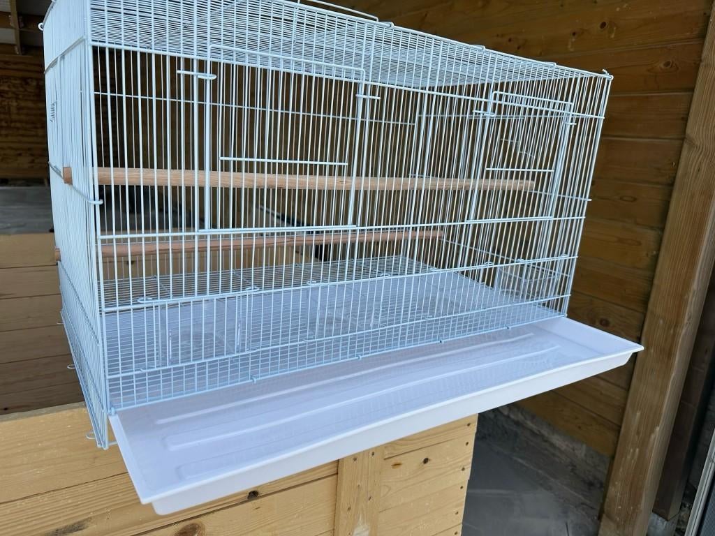 Kweekkooi draadkooi XL, Ophalen of Verzenden, Nieuw