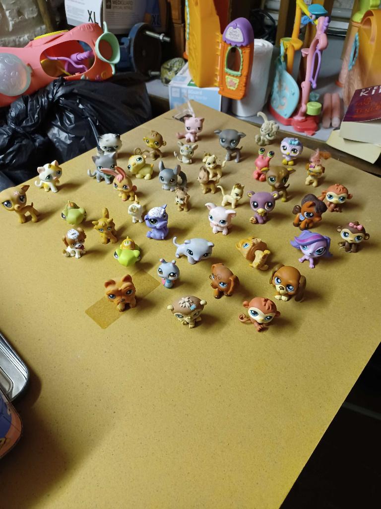 Figurines Pet Shop + accèssoires, Enlèvement, Utilisé