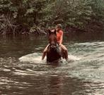 paard ruin recreatief, Dieren en Toebehoren, Ophalen