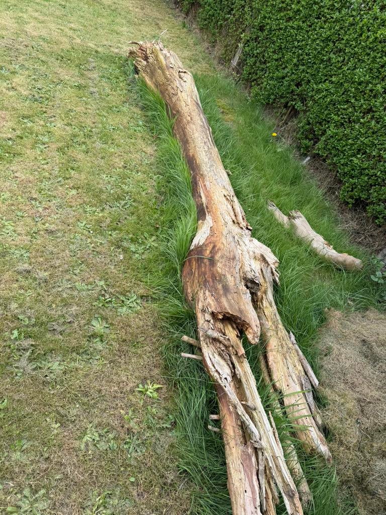 GRATIS boom(stam), Enlèvement