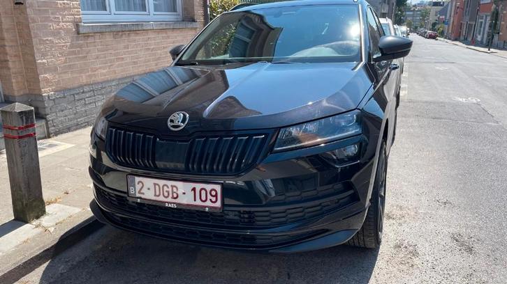 Skoda Karoq 2.0d, 4x4, Sportline, full service history, Auto's, Skoda, Particulier, Karoq, 4x4, ABS, Achteruitrijcamera, Adaptieve lichten