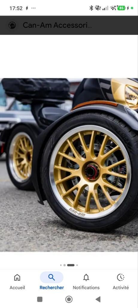 Op zoek naar gouden velgen voor Can Am Ryker Rally, Particulier