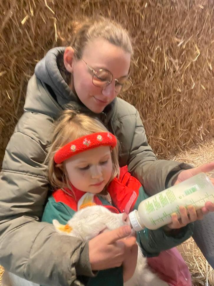 Geitenlammetjes, bokjes, zoeken thuis, Animaux & Accessoires, Moutons, Chèvres & Cochons, Chèvre, Mâle, 0 à 2 ans