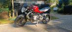 MV Agusta Brutale 800 2013, Particulier