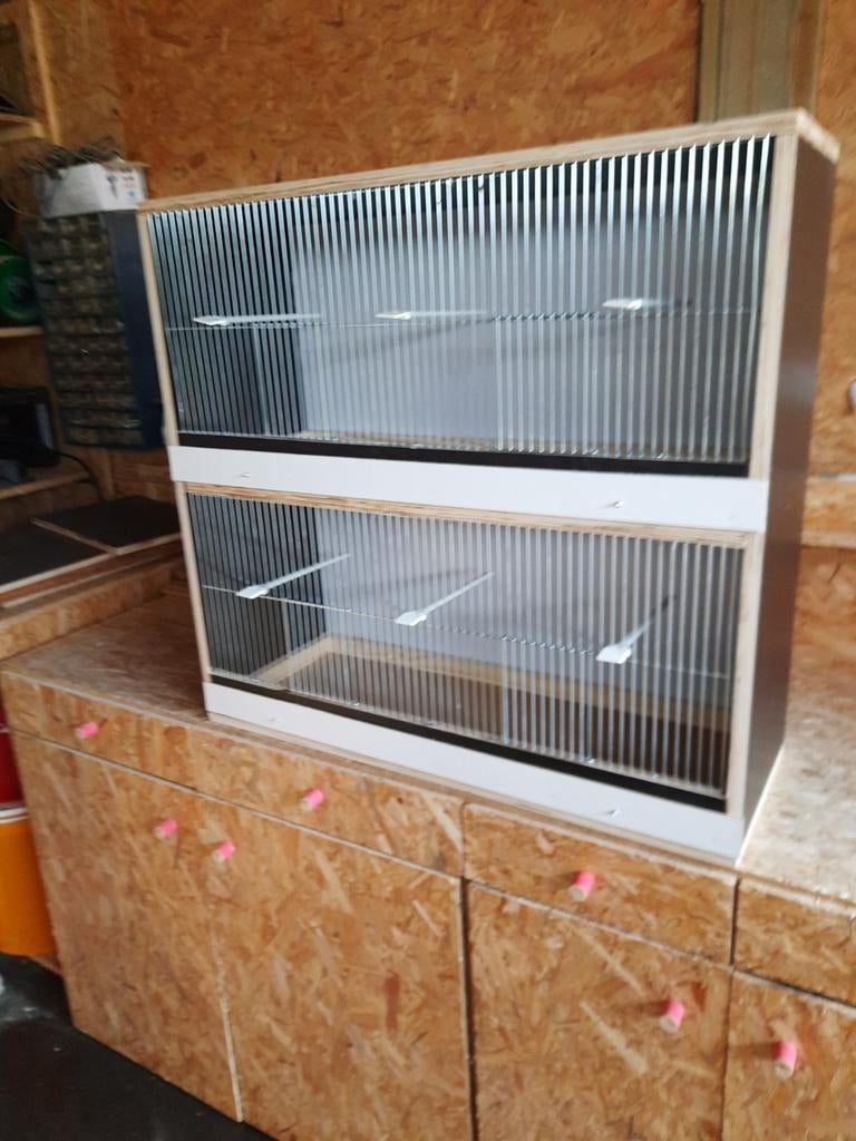 Nieuw vogelkooi, Enlèvement, Neuf, Bois, Cage à oiseaux