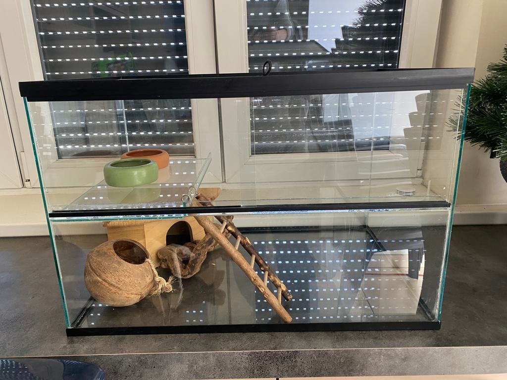 Glazen hamster / gerbilkooi met toebehoren hele mooie staat, Ophalen, Zo goed als nieuw, Hamster