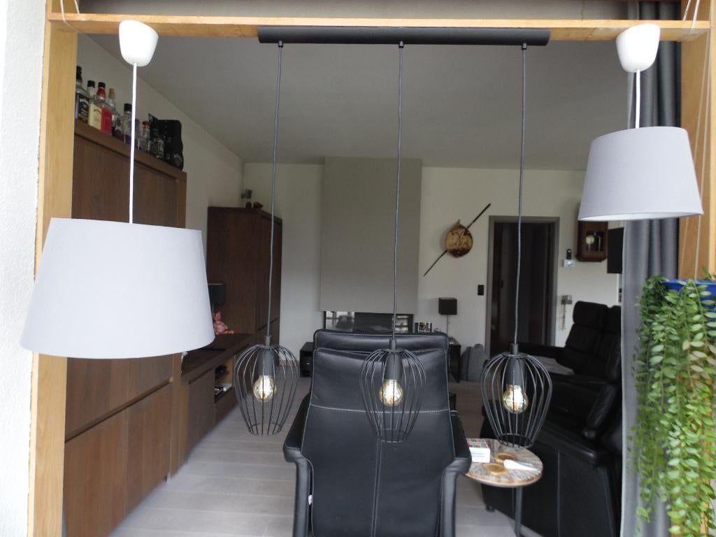 Set hanglampen, Enlèvement