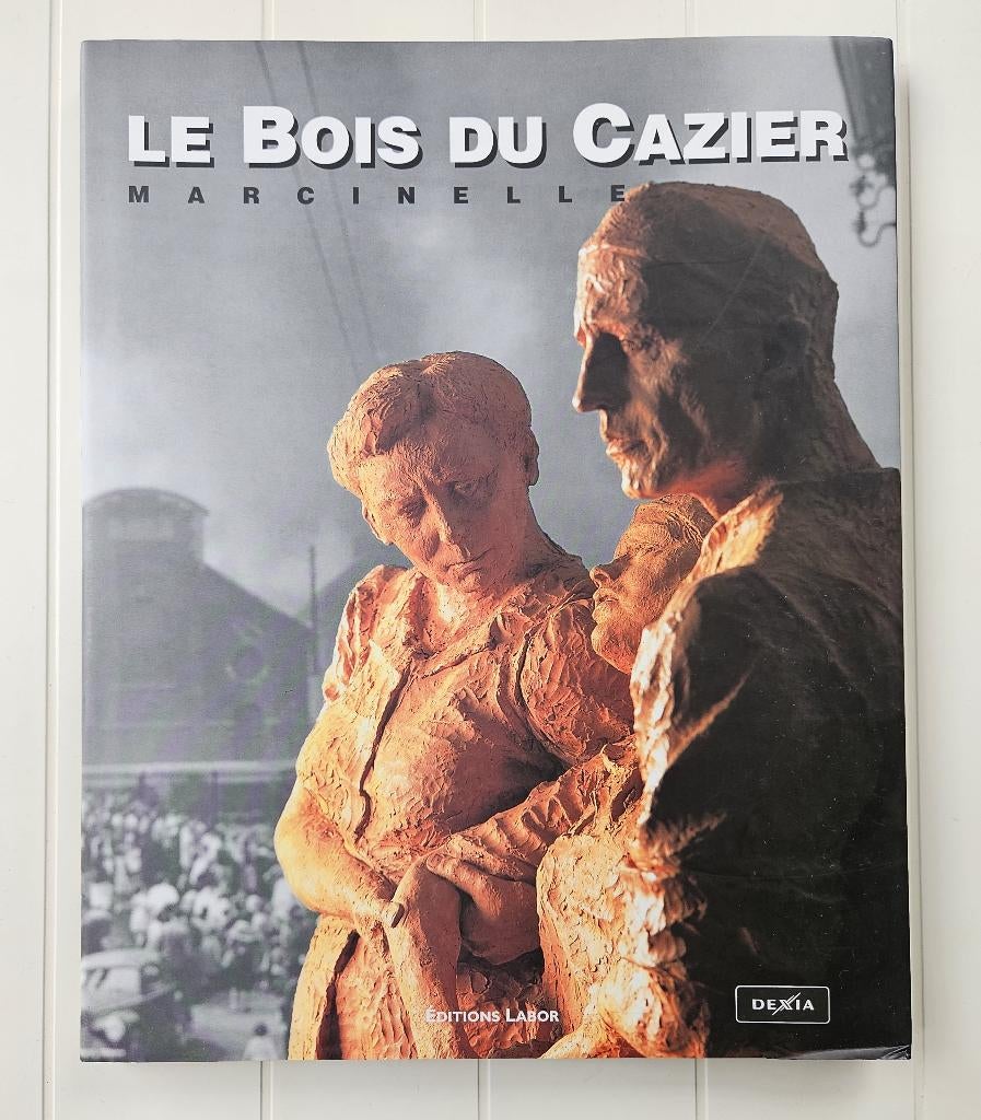 Le Bois de Cazier - Marcinelle, Enlèvement ou Envoi, Comme neuf, Jean-Louis Delaet, Alain Forti, Francis Groff