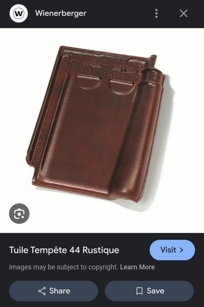 Tuiles Tempête Pottelberg à double emboîtement-autres, Bricolage & Construction, Tuiles & Revêtements de toit, Autres couleurs