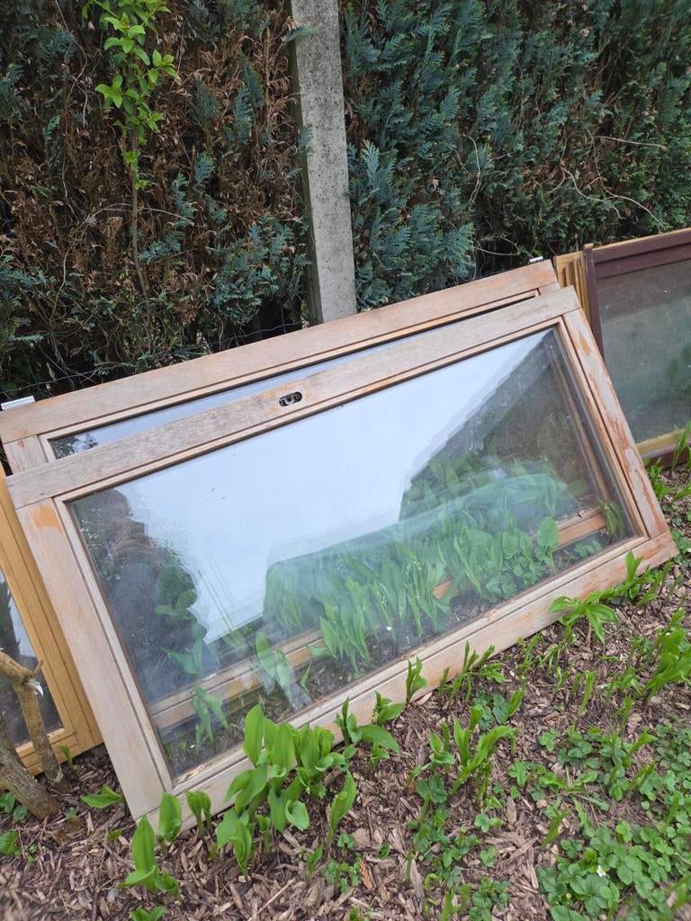 14 Châssis en excellent état – Idéal Serre ou Véranda, Ophalen, Gebruikt, Hout, Raamkozijn